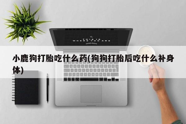 米非司酮片药店可以买吗小鹿狗打胎吃什么药(狗狗打胎后吃什么补身体)
